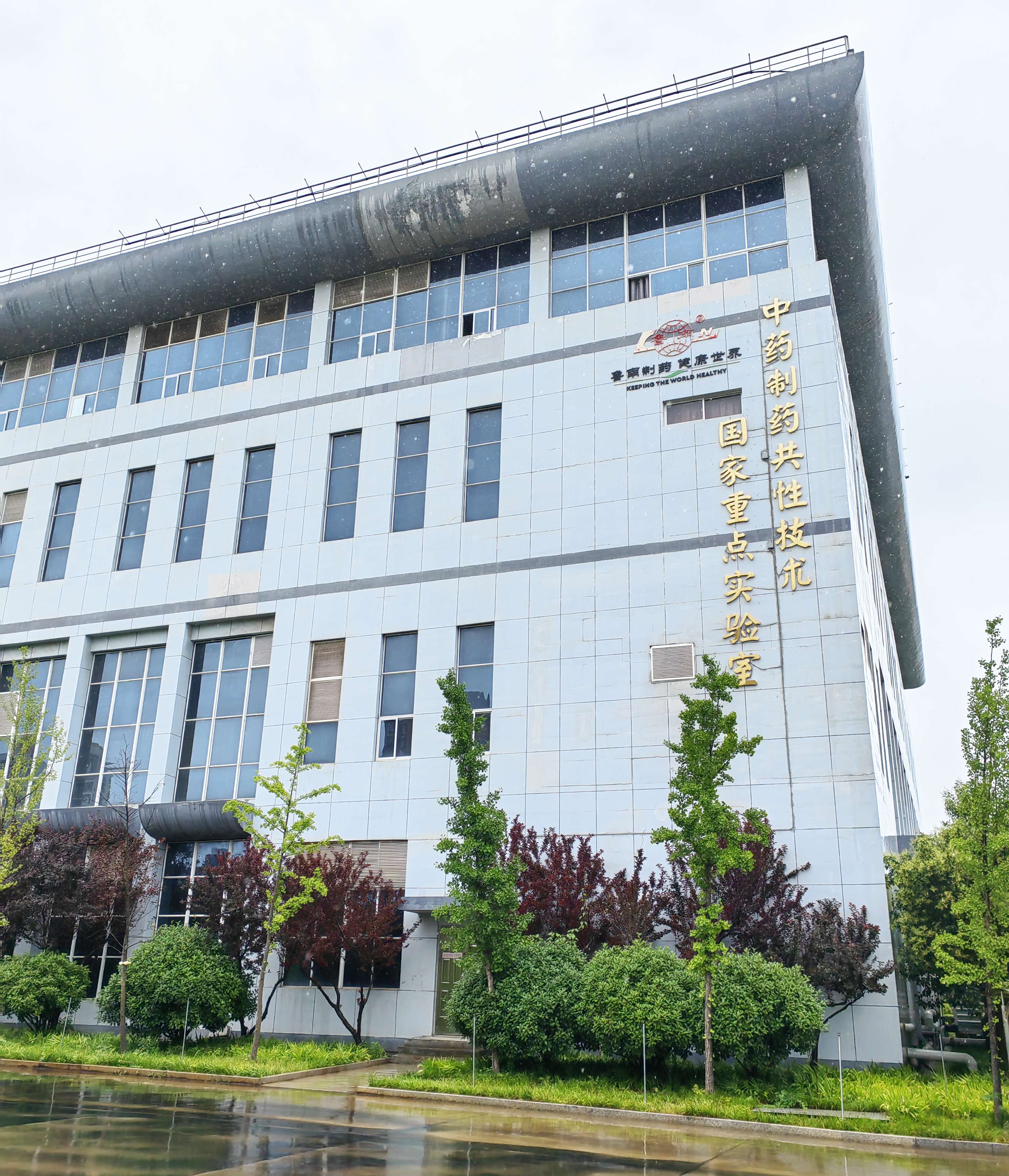 魯南製藥集團采購南京粉色视频APP成人片的低溫粉色视频视频网站